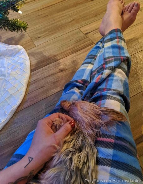 stormydaniels meilleure actrice images