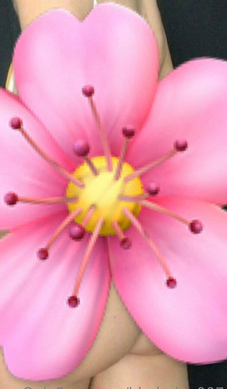 blodreina007 jolie étoile archive