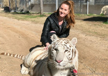 tigerqueen_ étoile de l'art photos