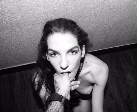 Stevie Macaroni star du porno gratuite collection