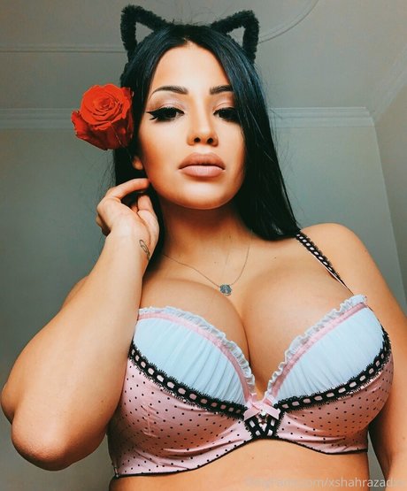 sherryshaz étoile parfaite galeries