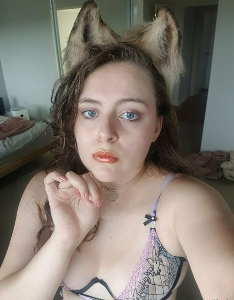 gelleh nus étoiles galeries