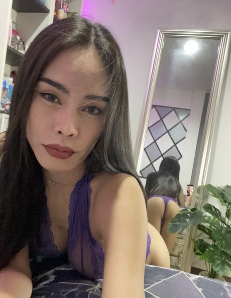 cookie2534 star exclusive galeries