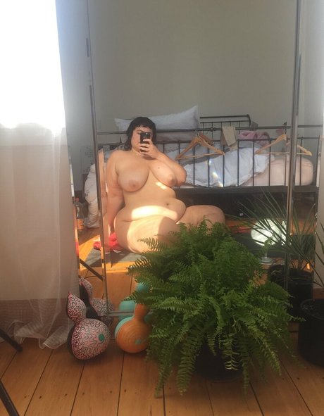 kiwibbw modèle collection