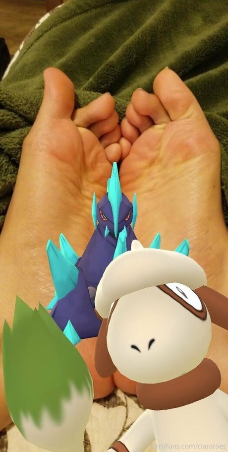 claratoes modèle gratuit archive