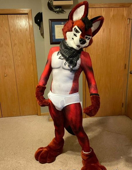 wolf ezo beau modèle img