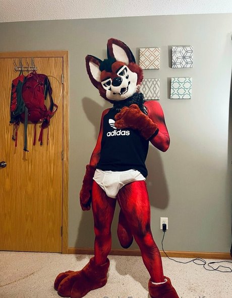 fans de transexuelles uniquement top exclusif des photos