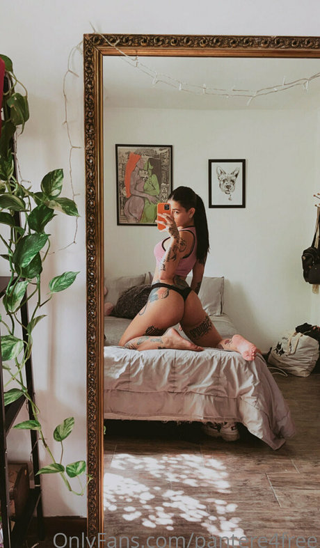 pantere4free meilleur modèle images