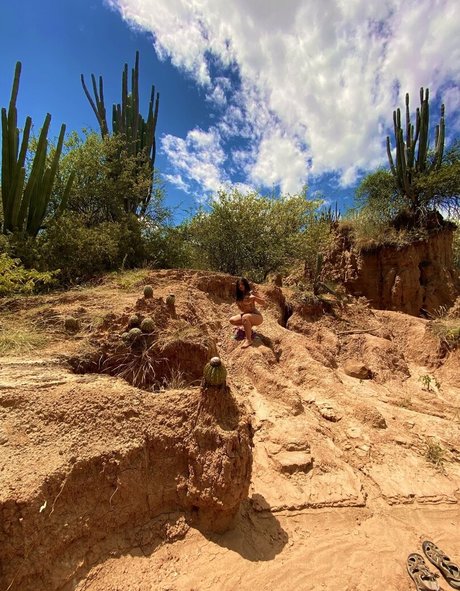 fans sud-africains uniquement pornographique sympa photo