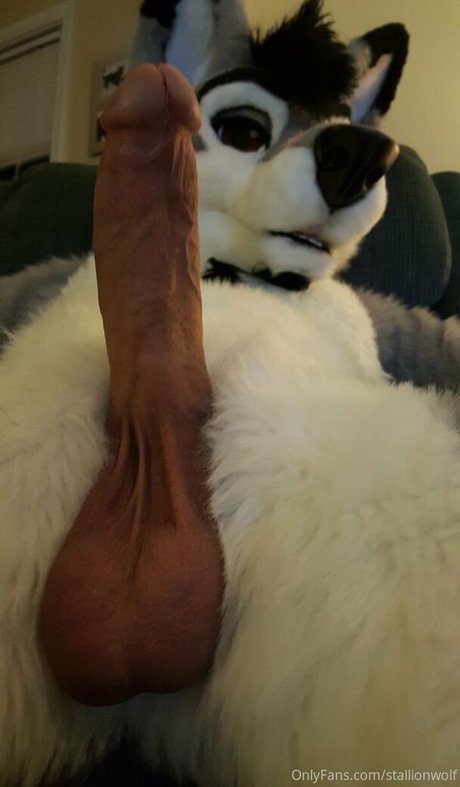 stallionwolf actrice nue des photos