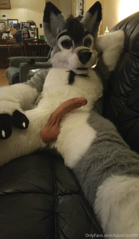 stallionwolf star du porno chaud archive