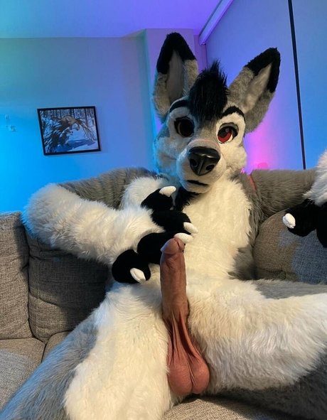 stallionwolf actrice adulte images