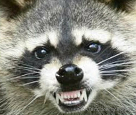 maskkim étoile adulte img