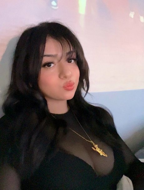 escieh modèle parfait img