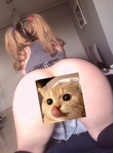 BabieKitty top star img