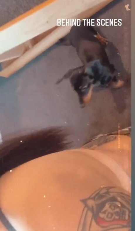 Jayme Lee star du porno hd images