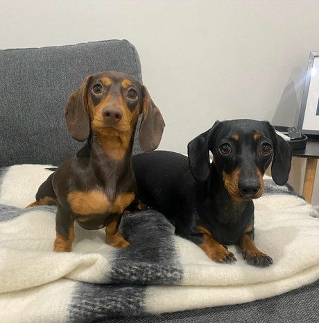 double fans uniquement des nus sympas galeries