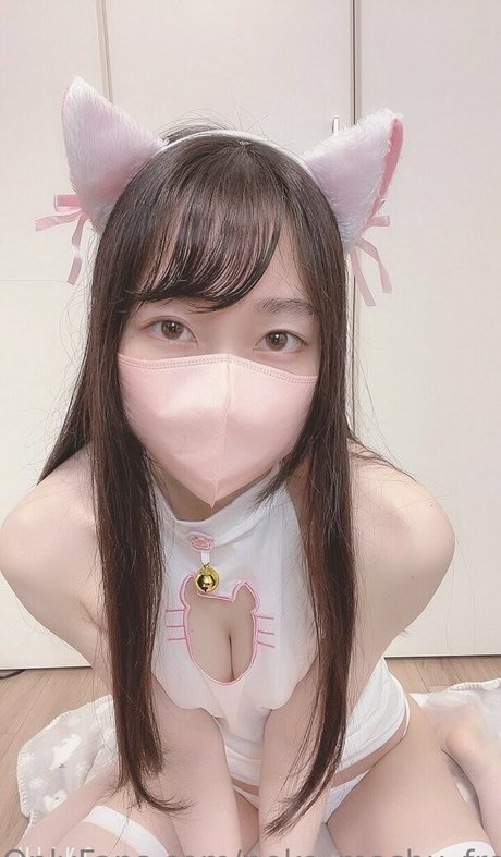 neko mashu free star du porno xxx image