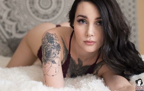 Nixyland étoile hd photo