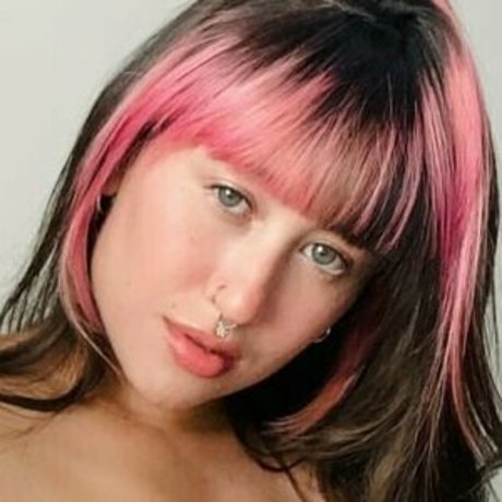 Felline SG art étoile des photos