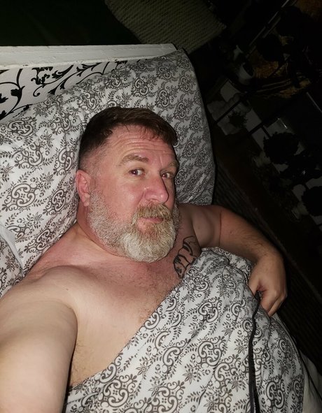 bearinheat étoile chaude des photos