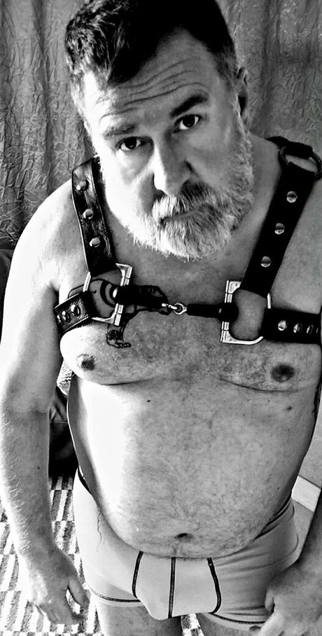 bearinheat étoile hd galeries