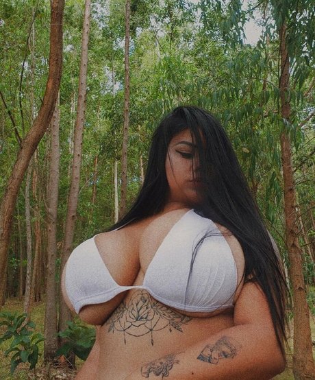 Pqnaai belle étoile des photos