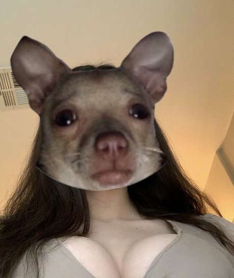 notsofiacoppola beau modèle collection