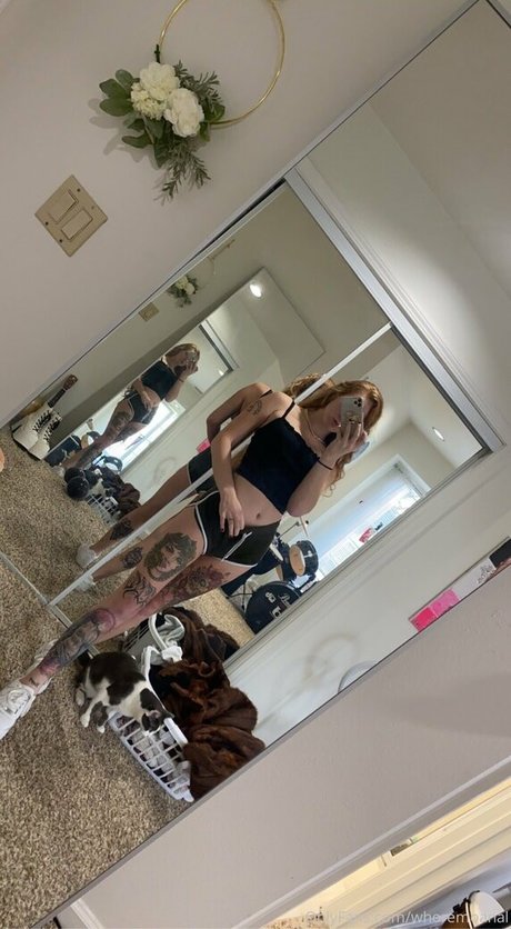 highschooldropout star du porno belle collection