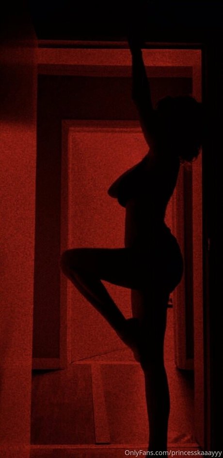 princesskaaayyy haut étoile galerie