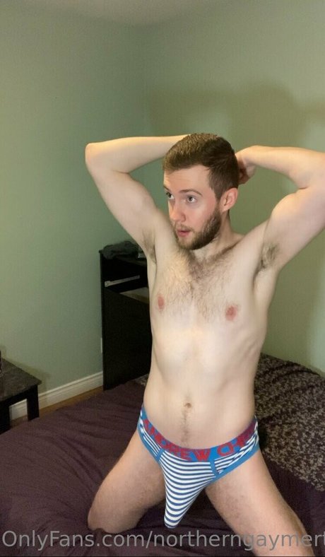 northerngaymertwinks star érotique collection