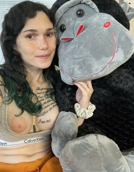 eeveebeevip top star collection