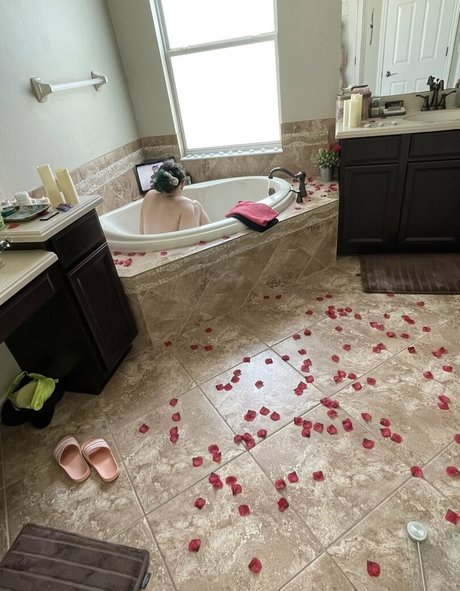 eeveebeevip étoile xxx archive