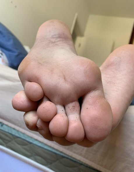 pallomalovely étoile de haute qualité images