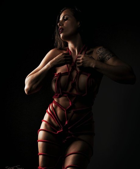 la phoenix ksu joli modèle collection