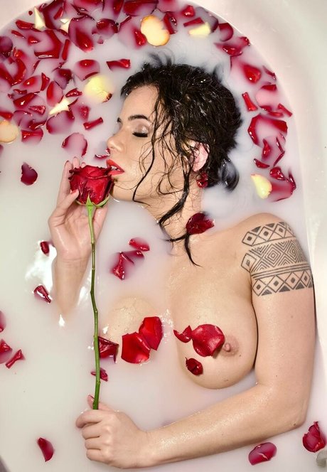 la phoenix ksu modèle magnifique galerie