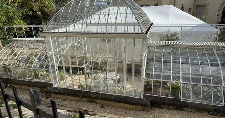 alfredcox sexe star collection