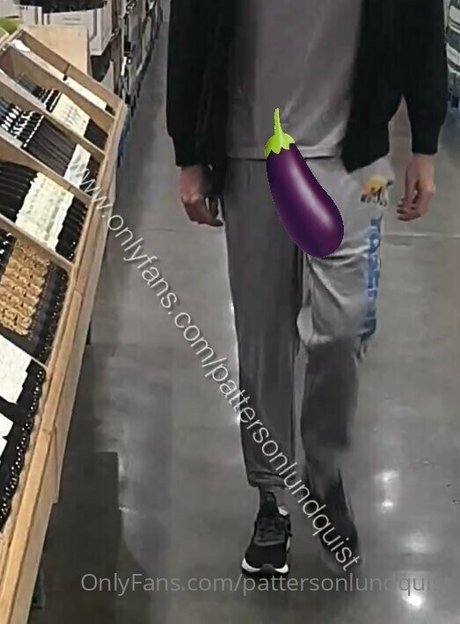 pattersonlundquist modèle gratuit galerie