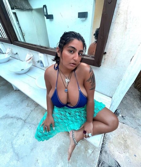 Chippy Nonstop étoile de l'art des photos