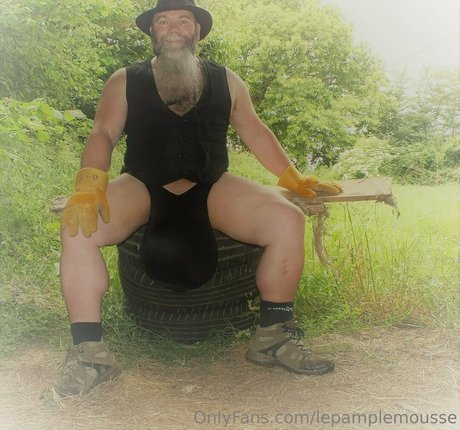 lepamplemousse étoile chaude photos