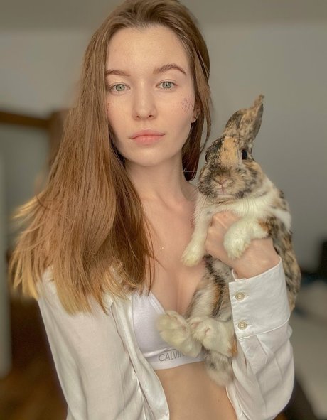 lily mint haut étoile photos