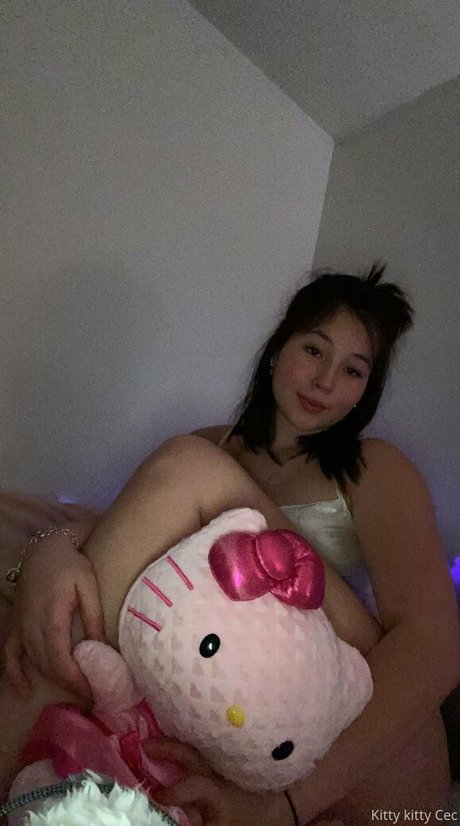 kittyscalling meilleur modèle collection