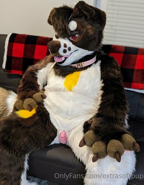 extrasoftpup modèle porno image