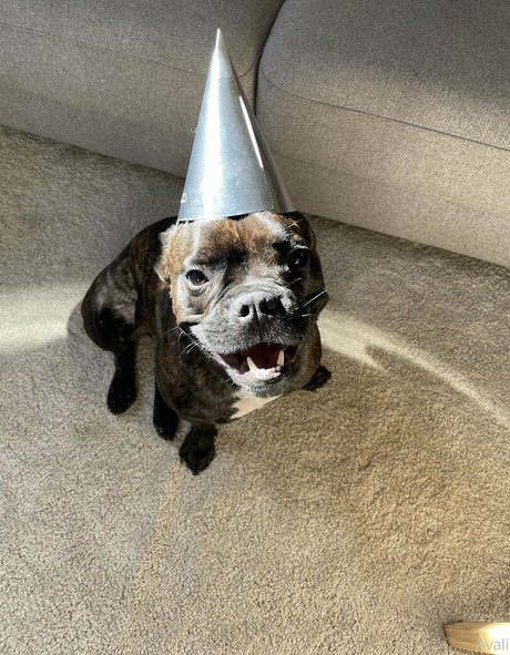 lilithcavali étoile magnifique archive