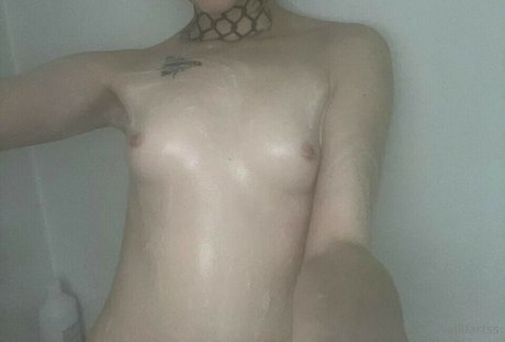 Wallfartss étoile de haute qualité images