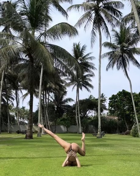 Elizashakirova meilleure étoile collection