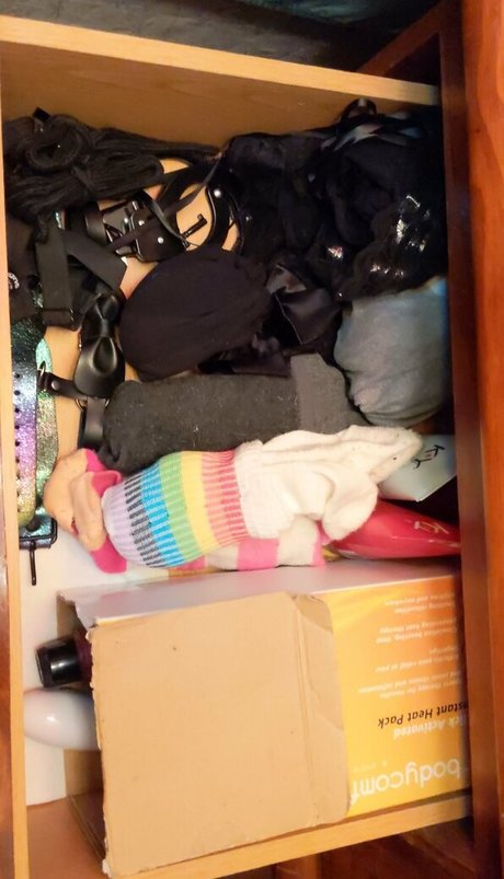 catgod x Fotoaufnahmen