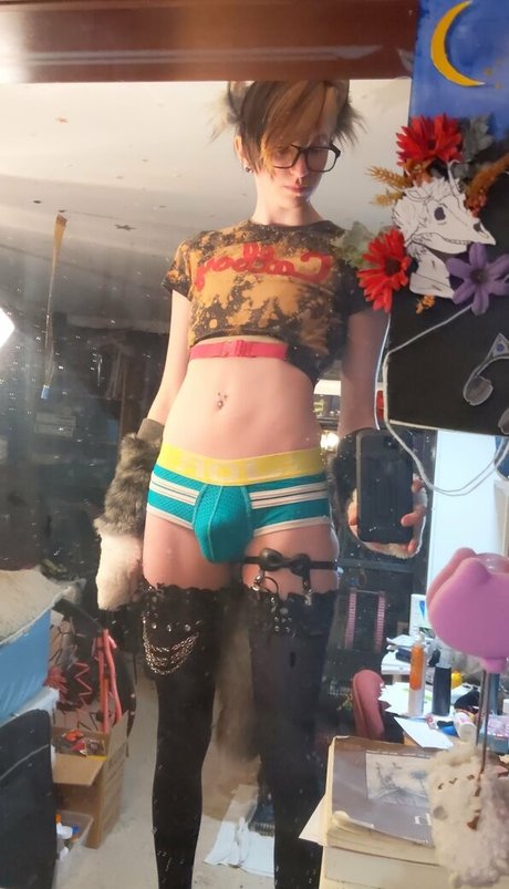 catgod x belle étoile archive