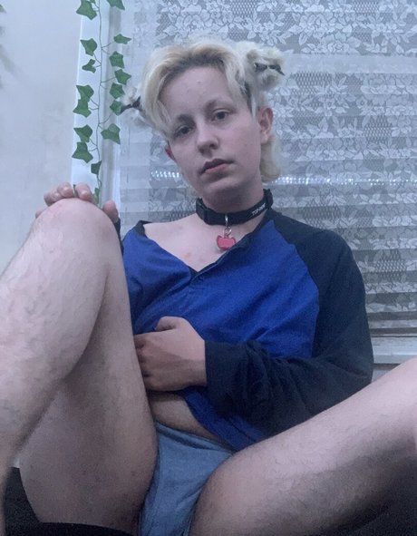 arsonistdreams haut de star du porno galerie