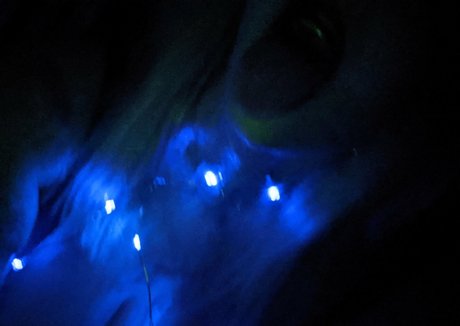 mijizzle modèle sympa archive